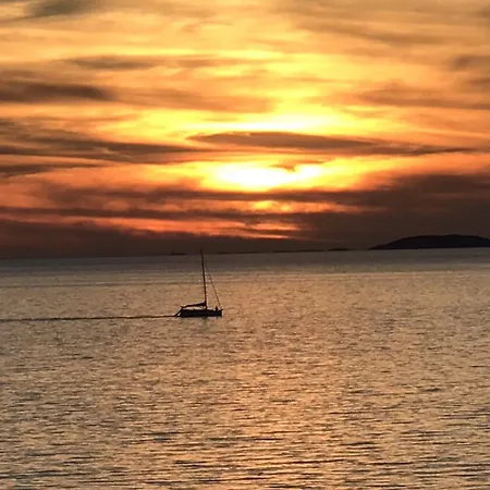 Drazena Buntin Dolac