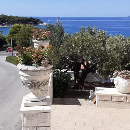 Drazena Buntin Dolac