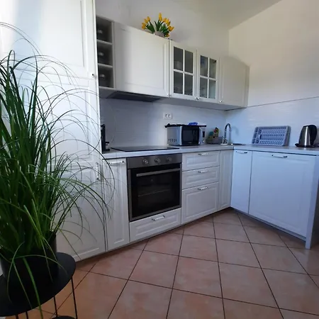 Drazena Buntin Dolac