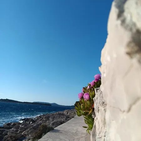 Drazena Buntin شقة