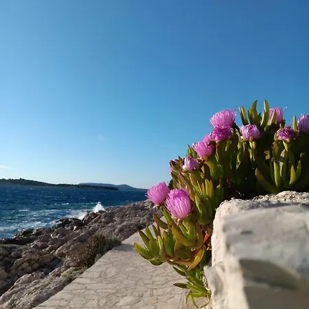 Apartamento Drazena Buntin