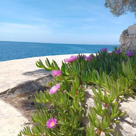 Drazena Buntin Apartamento