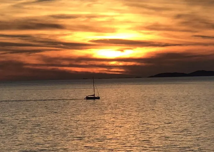 Drazena Buntin Dolac