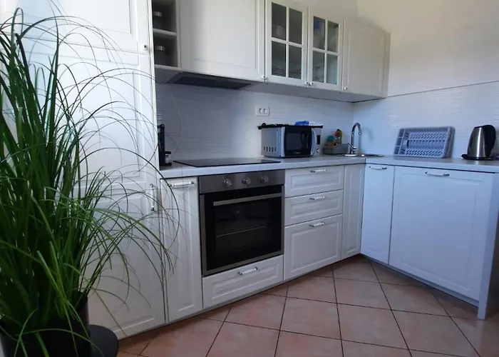 Drazena Buntin Dolac