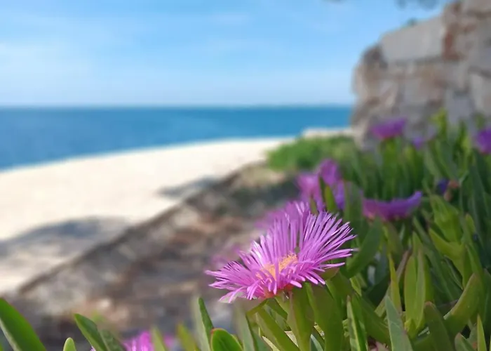 Drazena Buntin דירה Dolac