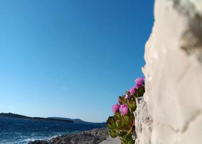 Drazena Buntin דירה