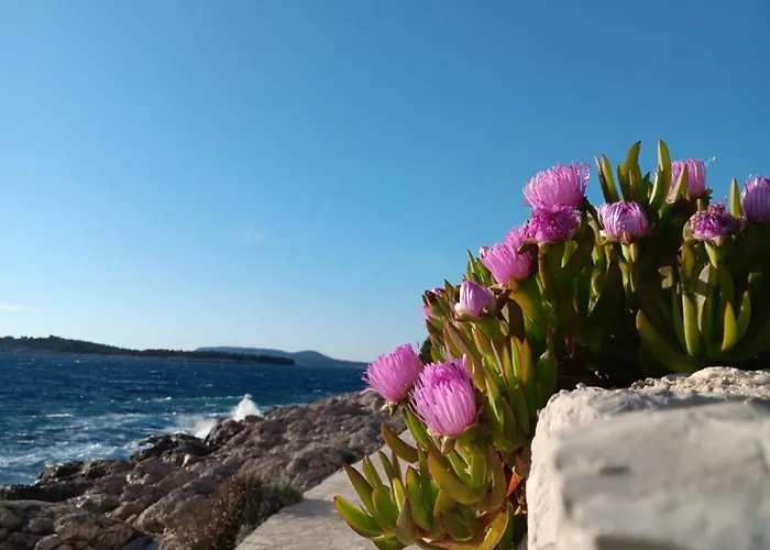 Appartement Drazena Buntin