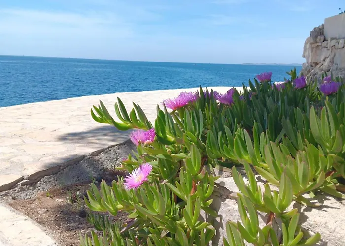 Drazena Buntin Appartement